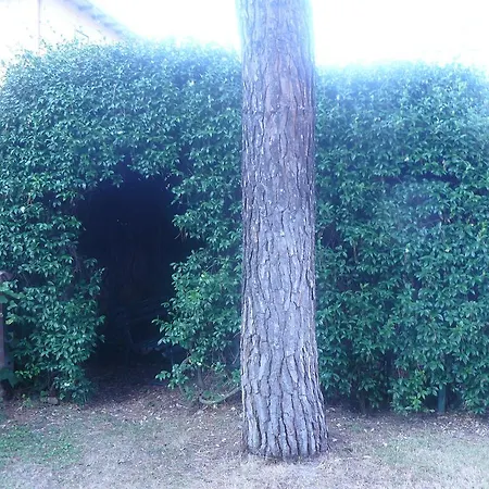 Casa Religiosa Di Ospitalita Nazareno بيت ضيافة سبوليتو