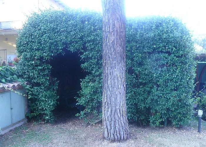 Casa Religiosa Di Ospitalità Nazareno Affittacamere Spoleto